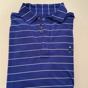 Blue Striped Polo Shirt